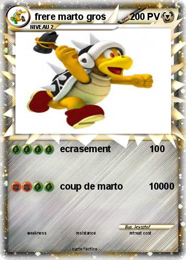 Pokemon frere marto gros