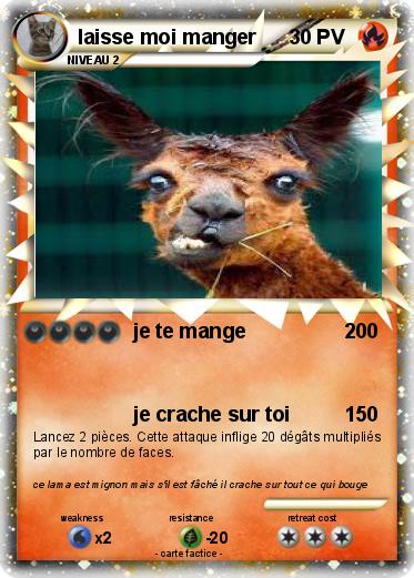 Pokemon laisse moi manger