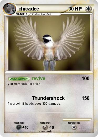 Pokemon chicadee