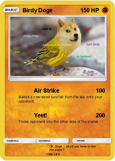 Pokemon Birdy Doge