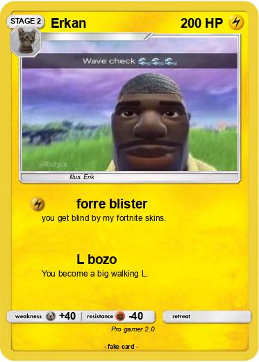 Pokemon Erkan