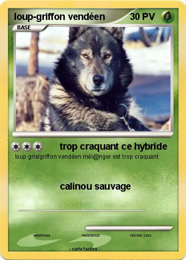 Pokemon loup-griffon vendéen