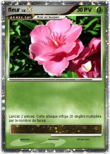 Pokemon fleur