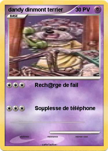 Pokemon dandy dinmont terrier