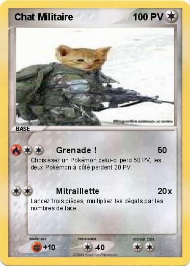 Pokemon Chat Militaire