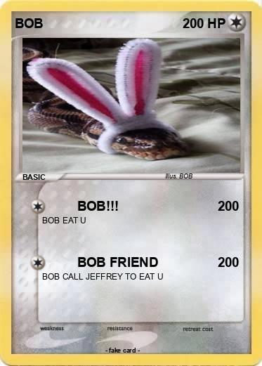 Pokemon BOB