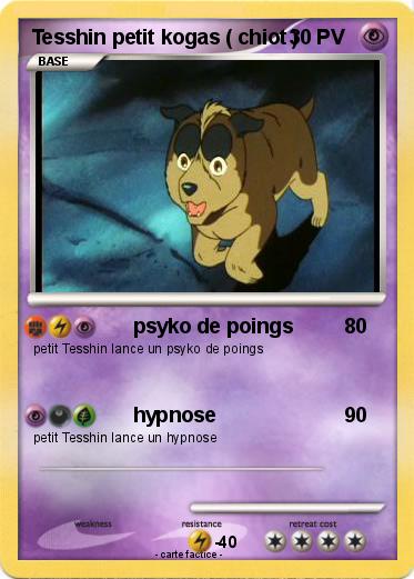 Pokemon Tesshin petit kogas ( chiot )