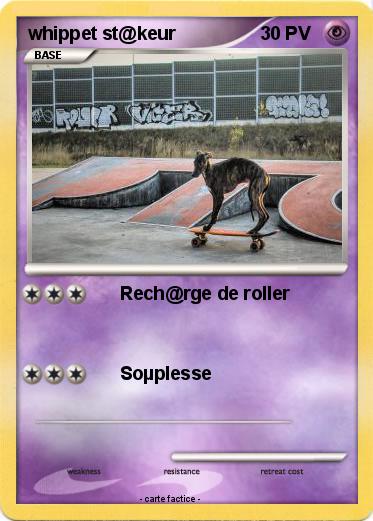 Pokemon whippet st@keur