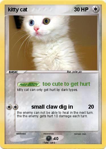 Pokemon kitty cat