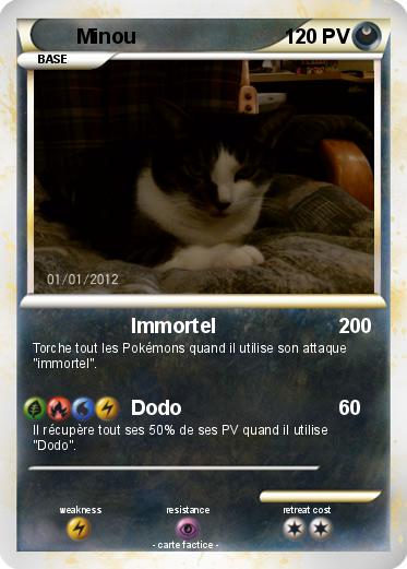 Pokemon Minou