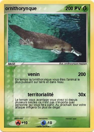 Pokemon ornithorynque