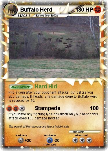 Pokemon Buffalo Herd