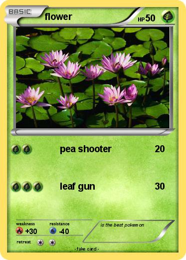 Pokemon flower