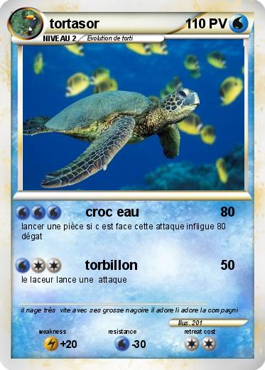 Pokemon tortasor