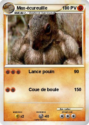 Pokemon Max-écureuille