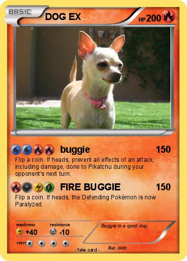 Pokemon DOG EX