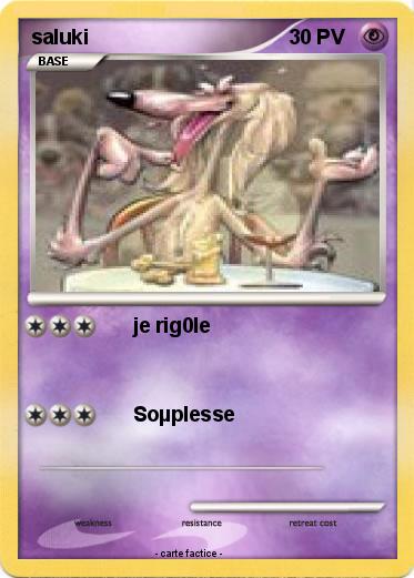 Pokemon saluki