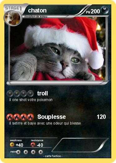 Pokemon chaton