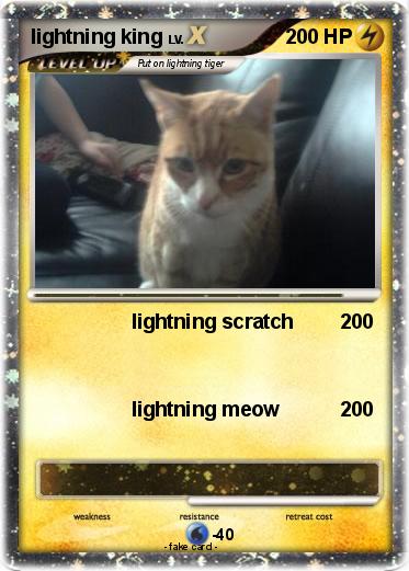 Pokemon lightning king