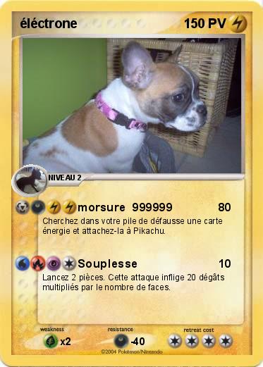 Pokemon éléctrone
