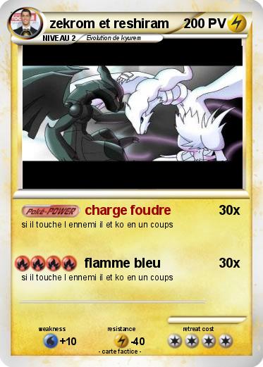 Pokemon zekrom et reshiram