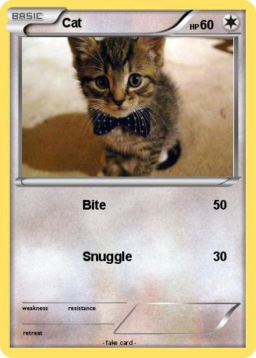 Pokemon Cat