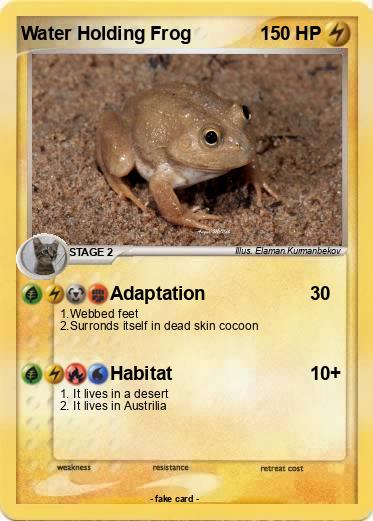 Pokemon Water Holding Frog