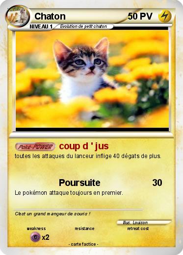 Pokemon Chaton