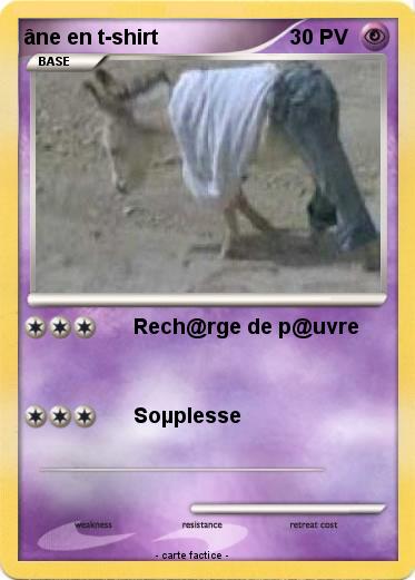 Pokemon âne en t-shirt