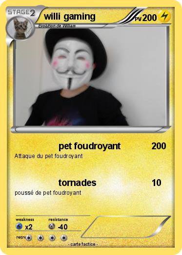 Pokemon willi gaming