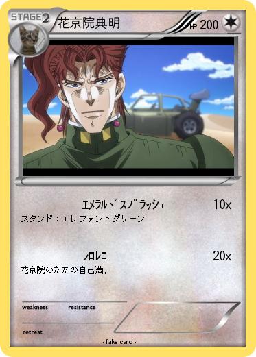 Pokemon 花京院典明