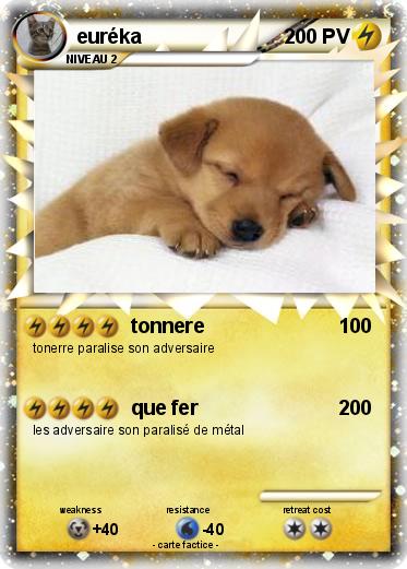 Pokemon euréka