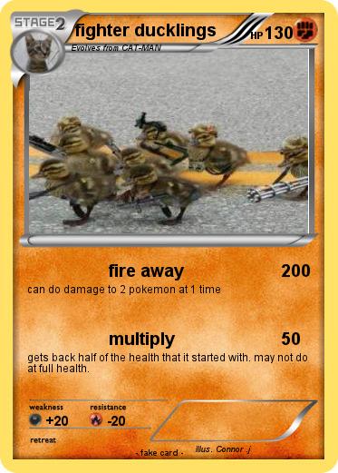Pokemon fighter ducklings