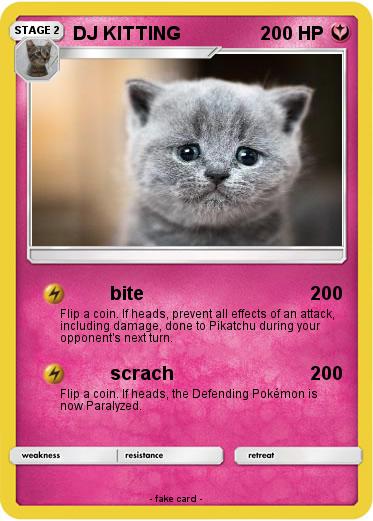 Pokemon DJ KITTING