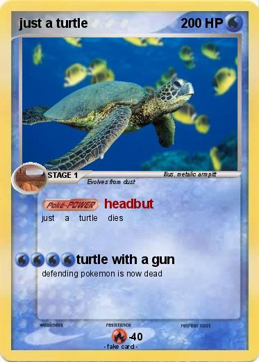 Pokemon just a turtle