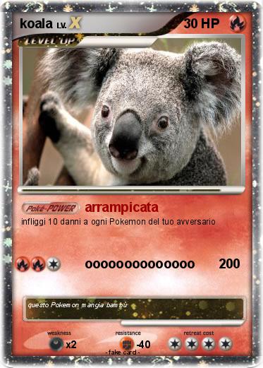 Pokemon koala