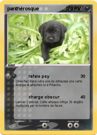 Pokemon panthérosque