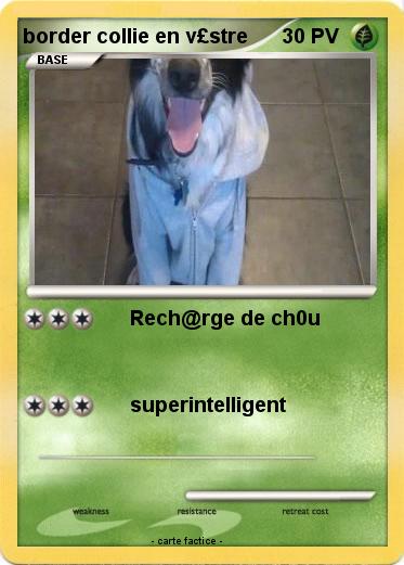 Pokemon border collie en v£stre
