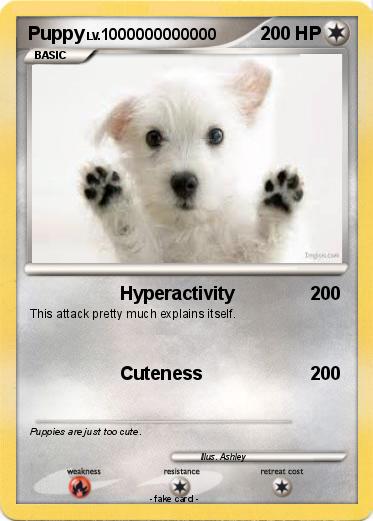 Pokemon Puppy
