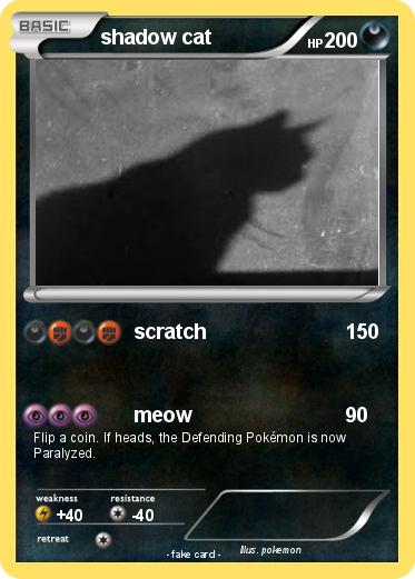 Pokemon shadow cat