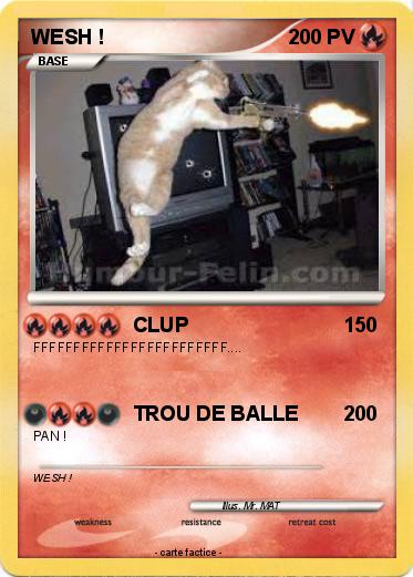 Pokemon WESH !