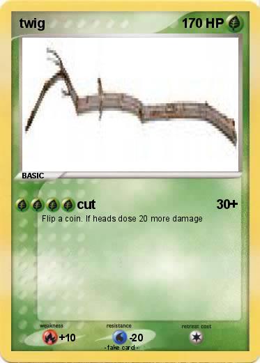 Pokemon twig