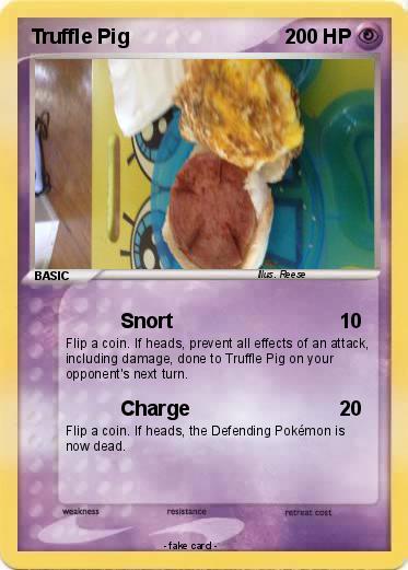 Pokemon Truffle Pig