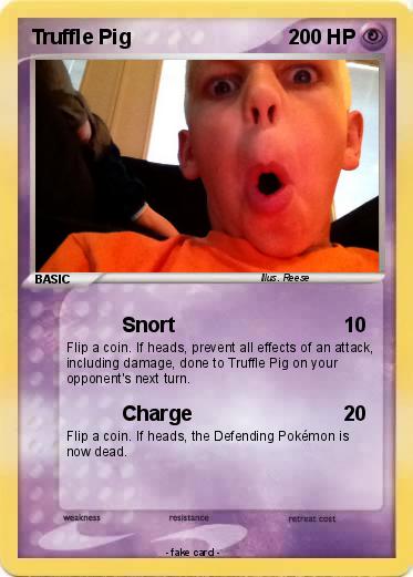 Pokemon Truffle Pig