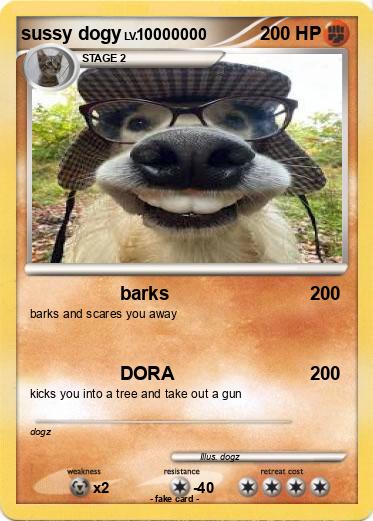 Pokemon sussy dogy