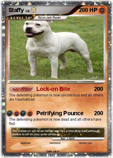 Pokemon Staffy
