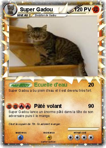 Pokemon Super Gadou