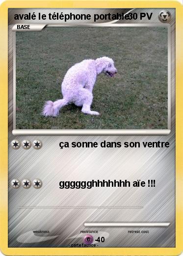 Pokemon avalé le téléphone portable
