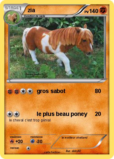 Pokemon zia