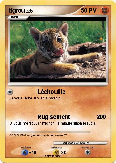 Pokemon tigrou